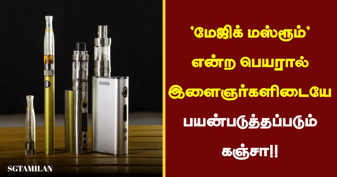‘மேஜிக் மஸ்ரூம்’ என்ற பெயரால் இளைஞர்களிடையே பயன்படுத்தப்படும் கஞ்சா…!!!