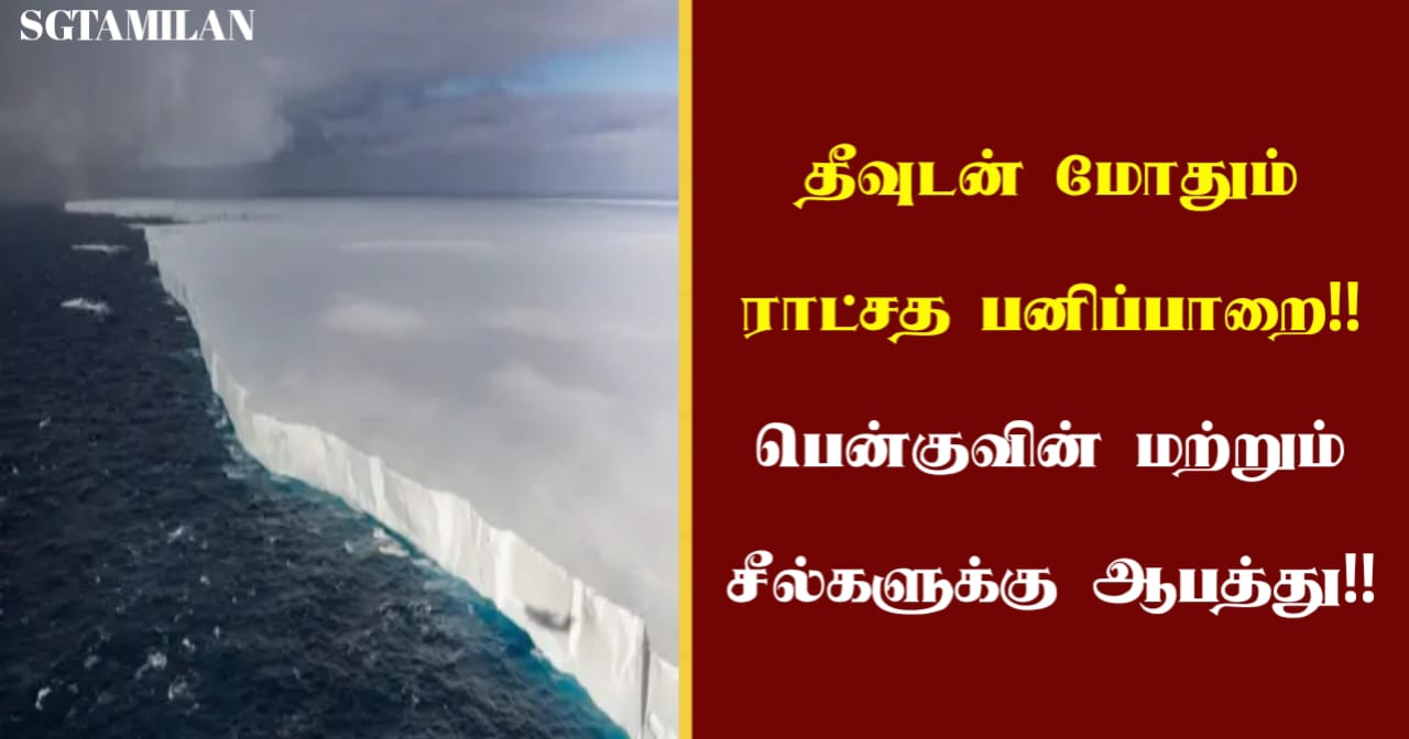 தீவுடன் மோதும் ராட்சத பனிப்பாறை!! பென்குவின் மற்றும் சீல்களுக்கு ஆபத்து!!