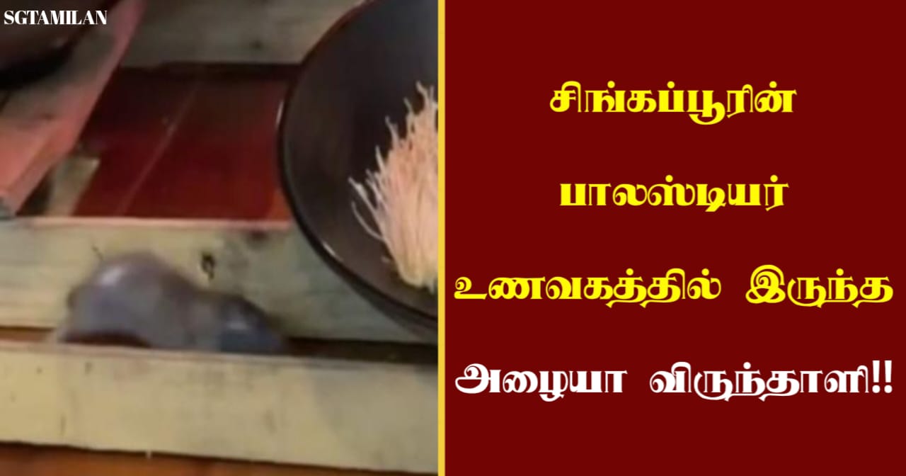 சிங்கப்பூரின் பாலஸ்டியர் உணவகத்தில் இருந்த அழையா விருந்தாளி!!