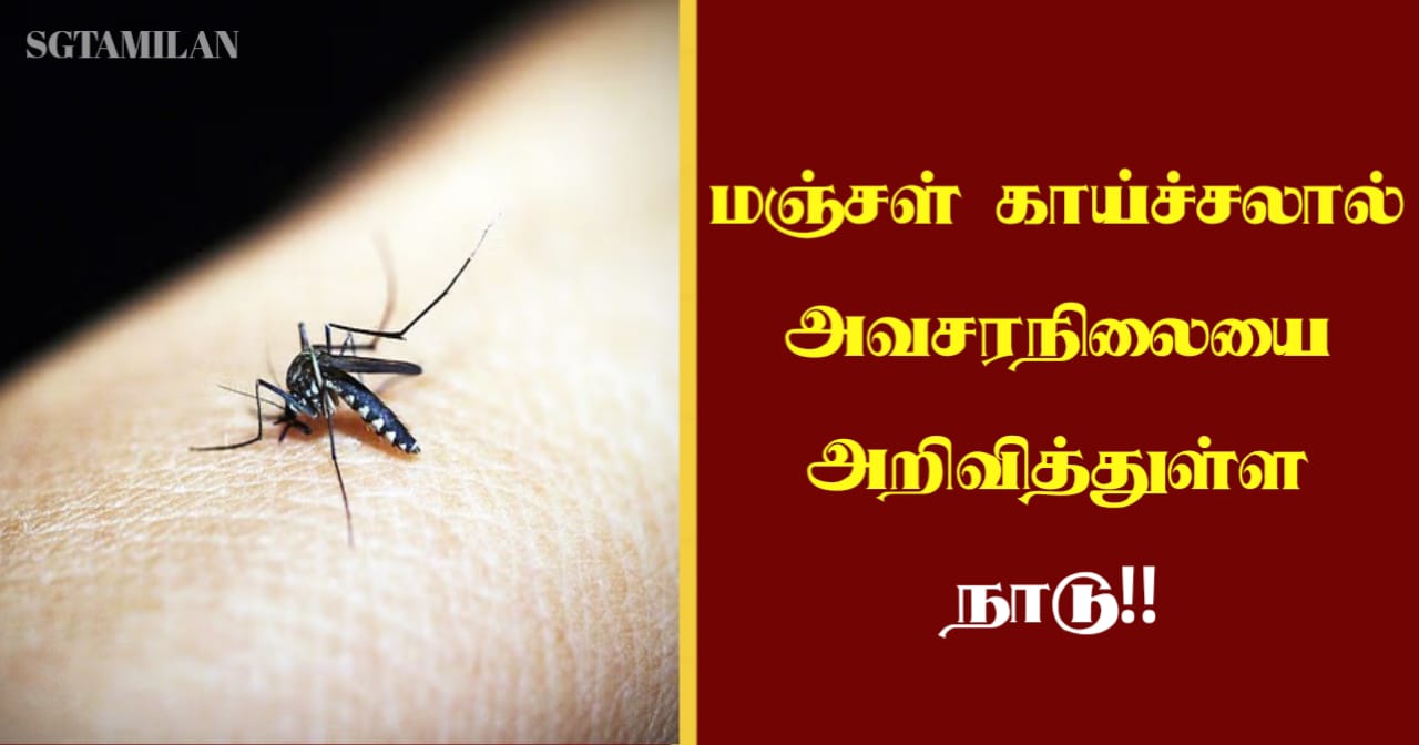 மஞ்சள் காய்ச்சலால் அவசரநிலையை அறிவித்துள்ள நாடு!!