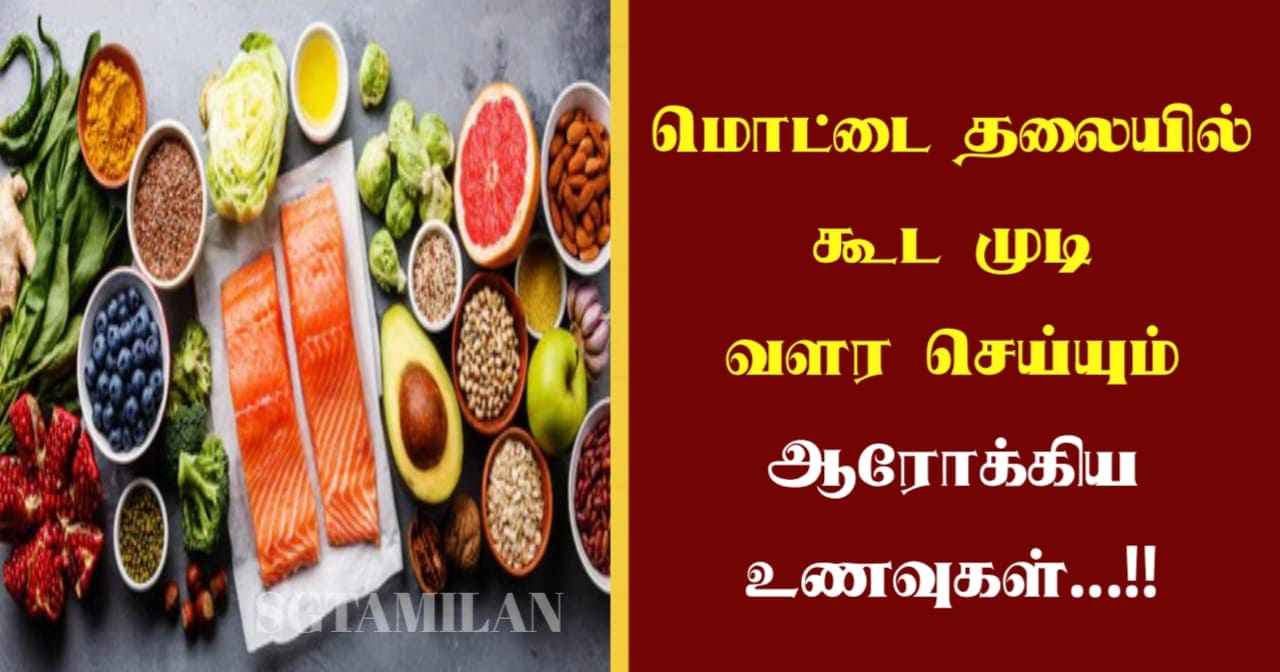 மொட்டை தலையில் கூட முடி வளர செய்யும் ஆரோக்கிய உணவுகள்…!!