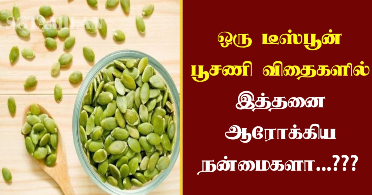 ஒரு டீஸ்பூன் பூசணி விதைகளில் இத்தனை ஆரோக்கிய நன்மைகளா…???