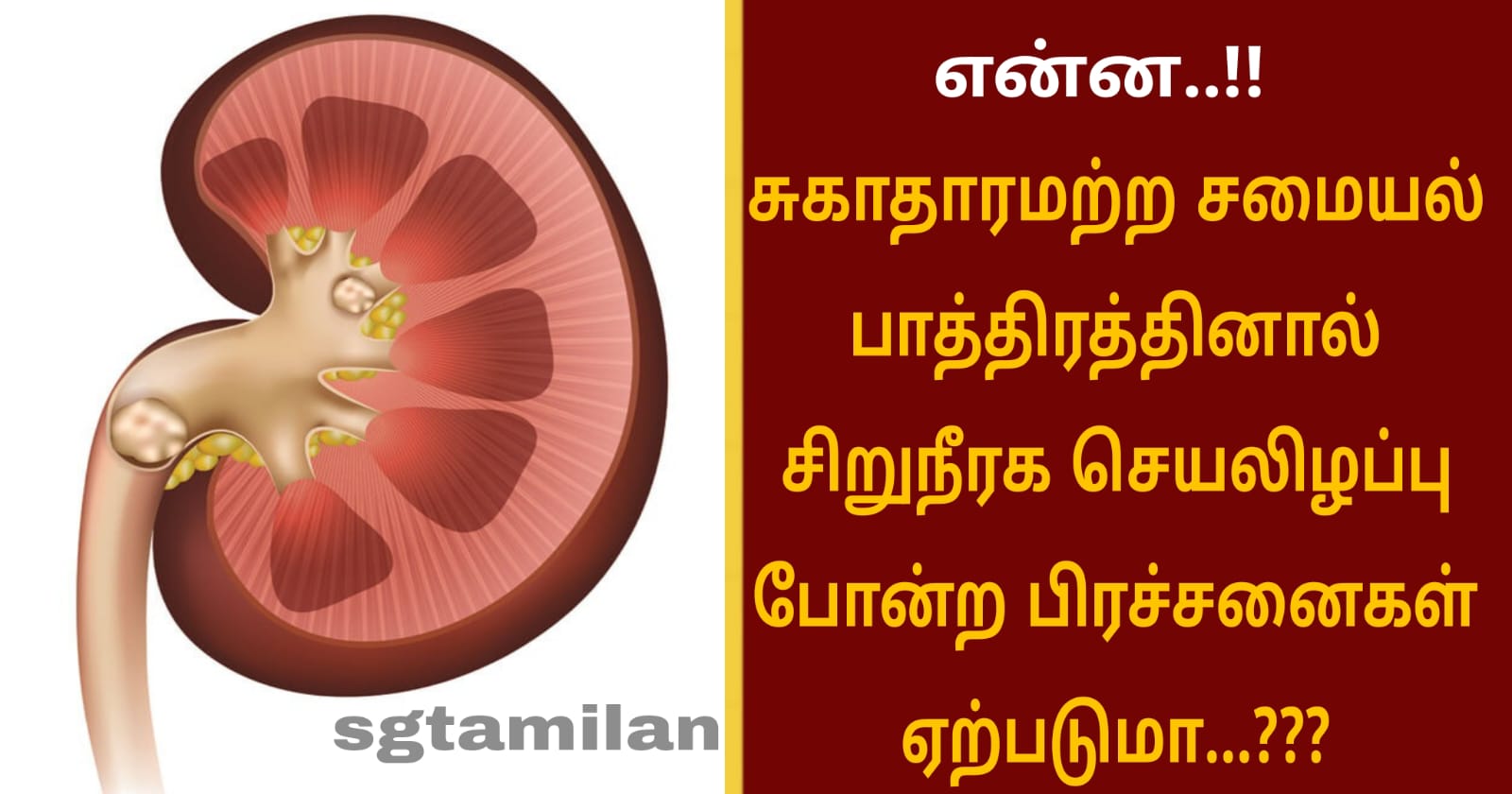 என்ன..!! சுகாதாரமற்ற சமையல் பாத்திரத்தினால் சிறுநீரக செயலிழப்பு போன்ற பிரச்சனைகள் ஏற்படுமா..