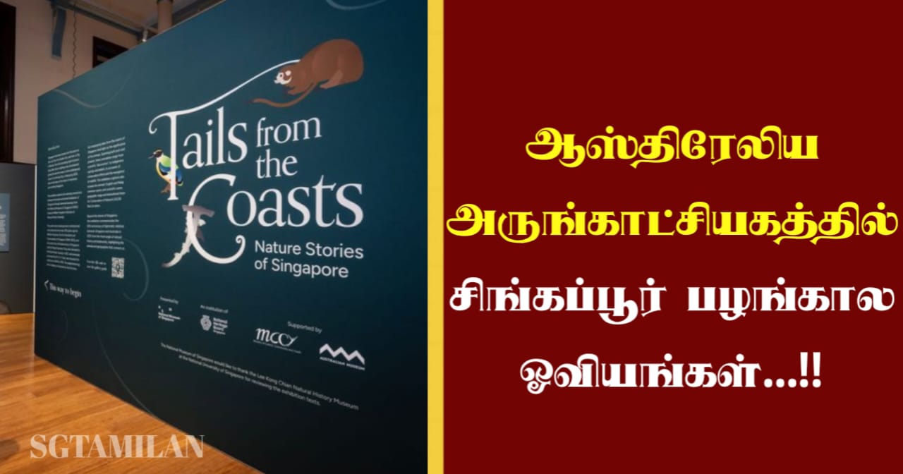 ஆஸ்திரேலிய அருங்காட்சியகத்தில் சிங்கப்பூர் பழங்கால ஓவியங்கள்…!!