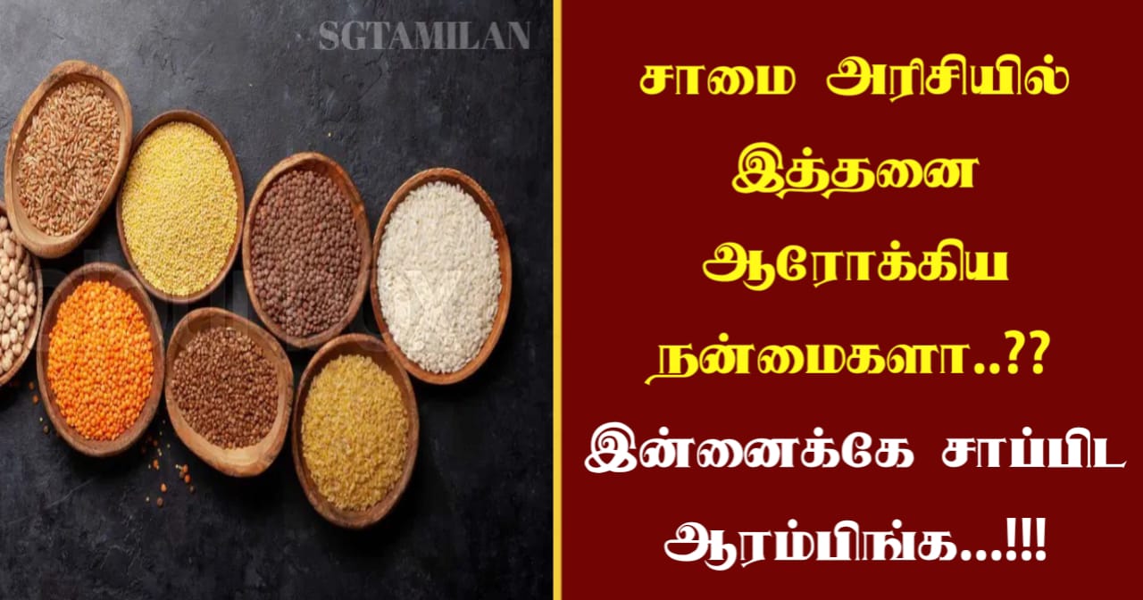 சாமை அரிசியில் இத்தனை ஆரோக்கிய நன்மைகளா..?? இன்னைக்கே சாப்பிட ஆரம்பிங்க…!!!