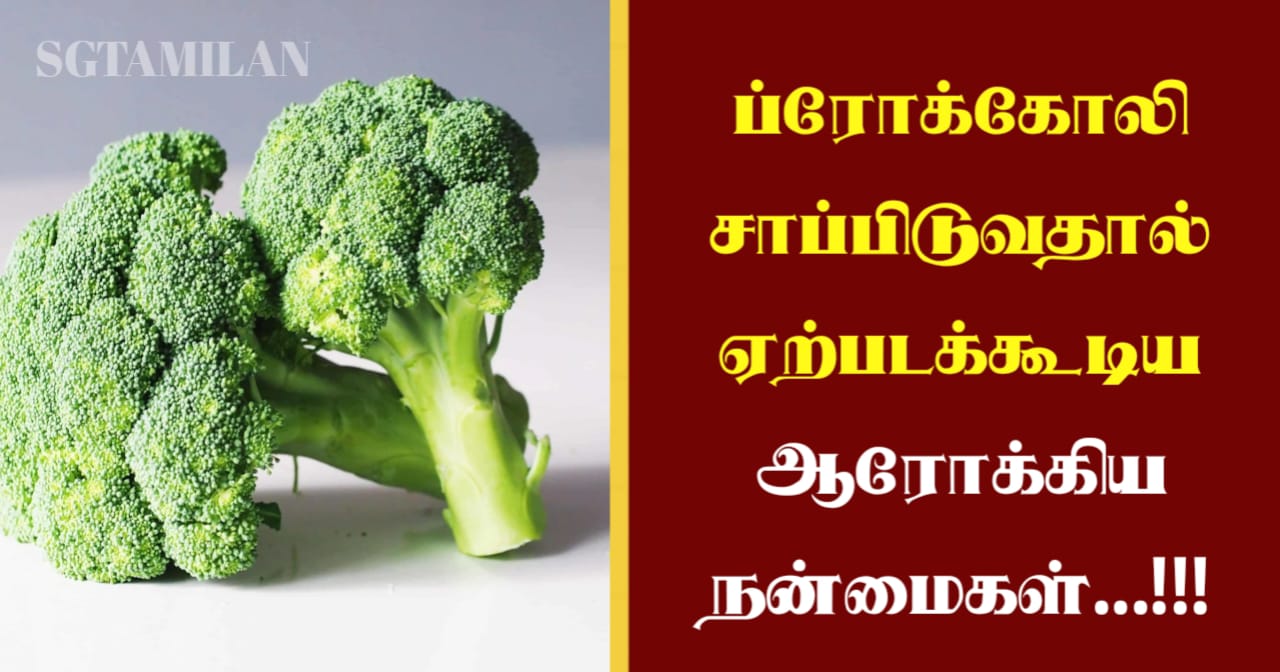 ப்ரோக்கோலி சாப்பிடுவதால் ஏற்படக்கூடிய ஆரோக்கிய நன்மைகள்…!!!