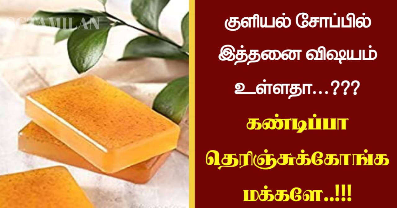 குளியல் சோப்பில் இத்தனை விஷயம் உள்ளதா…??? கண்டிப்பா தெரிஞ்சுக்கோங்க மக்களே..!!!