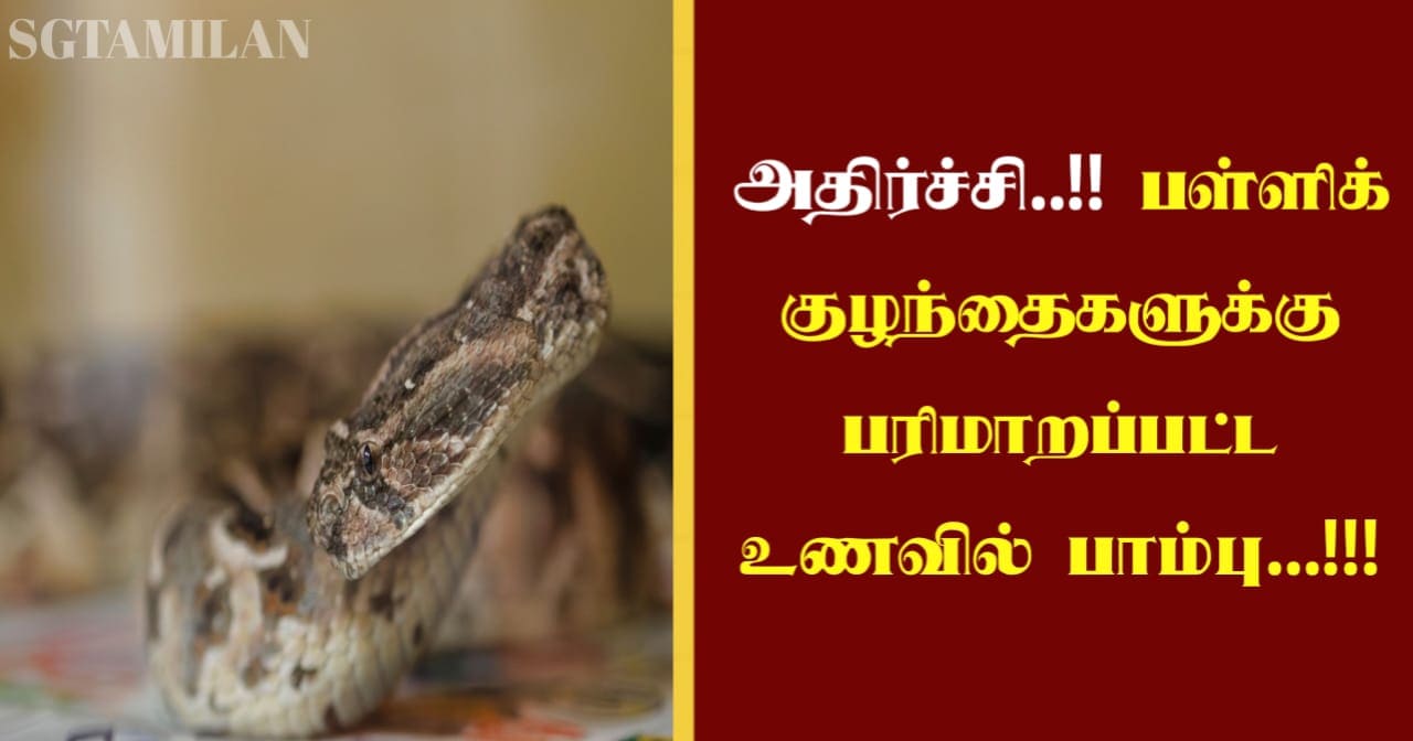 அதிர்ச்சி..!! பள்ளிக் குழந்தைகளுக்கு பரிமாறப்பட்ட உணவில் பாம்பு…!!!