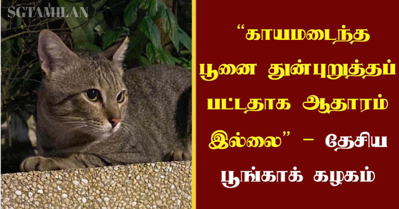 “காயமடைந்த பூனை துன்புறுத்தப்பட்டதாக ஆதாரம் இல்லை”- தேசிய பூங்காக் கழகம்