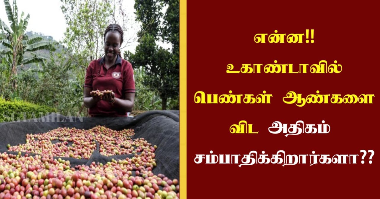 என்ன..!!!உகாண்டாவில் பெண்கள் ஆண்களை விட அதிகம் சம்பாதிக்கிறார்களா…??