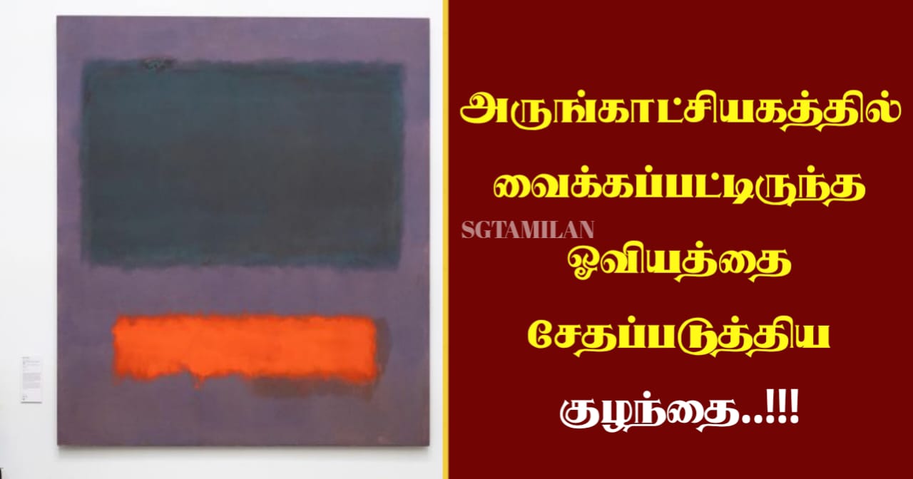 அருங்காட்சியகத்தில் வைக்கப்பட்டிருந்த ஓவியத்தை சேதப்படுத்திய குழந்தை..!!!