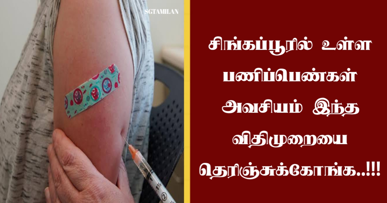 சிங்கப்பூரில் உள்ள பணிப்பெண்கள் அவசியம் இந்த விதிமுறையை தெரிஞ்சுக்கோங்க..!!!