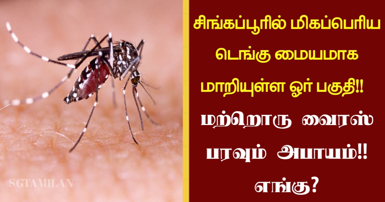 சிங்கப்பூரில் மிகப்பெரிய டெங்கு மையமாக மாறியுள்ள ஓர் பகுதி!! மற்றொரு வைரஸ் பரவும் அபாயம்!! எங்கு?