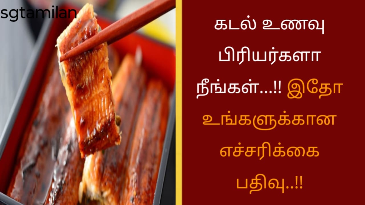 கடல் உணவு பிரியர்களா நீங்கள்…!! இதோ உங்களுக்கான எச்சரிக்கை பதிவு..!!