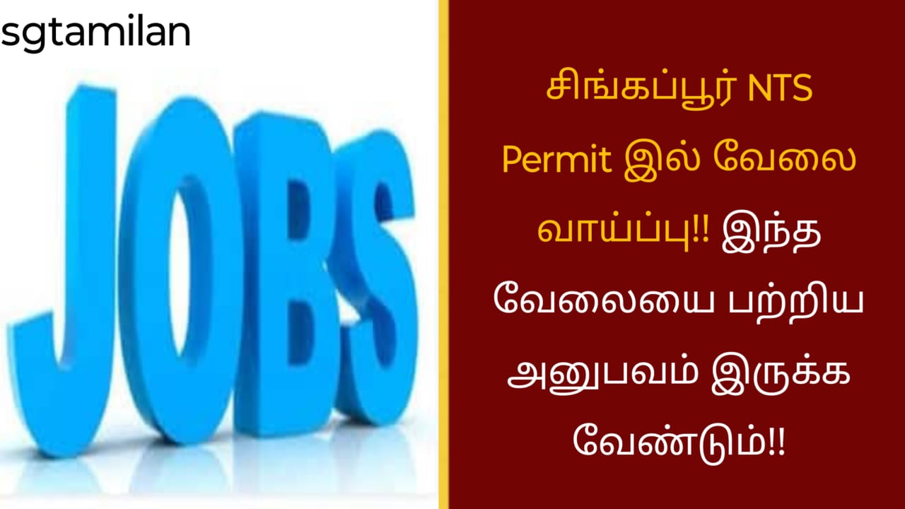 சிங்கப்பூர் NTS Permit இல் வேலை வாய்ப்பு!! இந்த வேலையை பற்றிய அனுபவம் இருக்க வேண்டும்!!