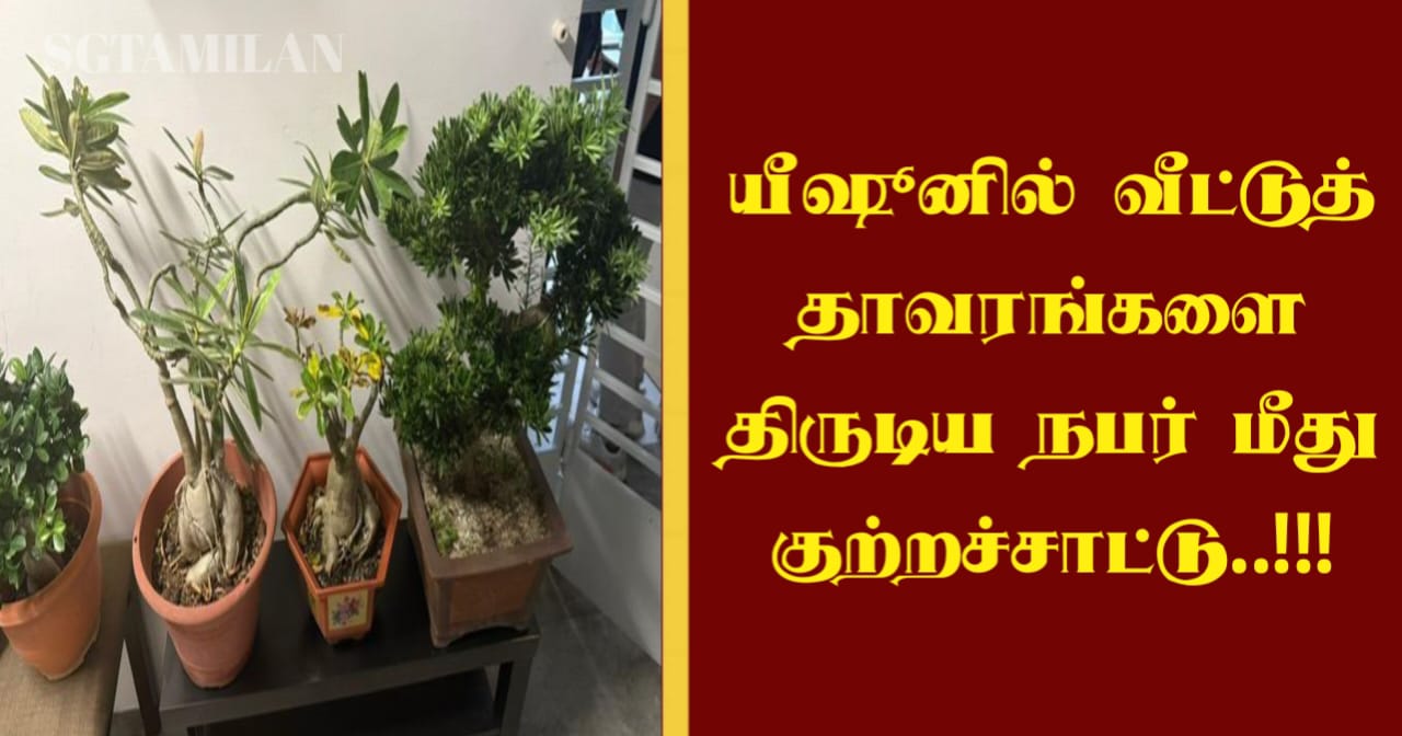 யீஷூனில் வீட்டுத் தாவரங்களை திருடிய நபர் மீது குற்றச்சாட்டு..!!!