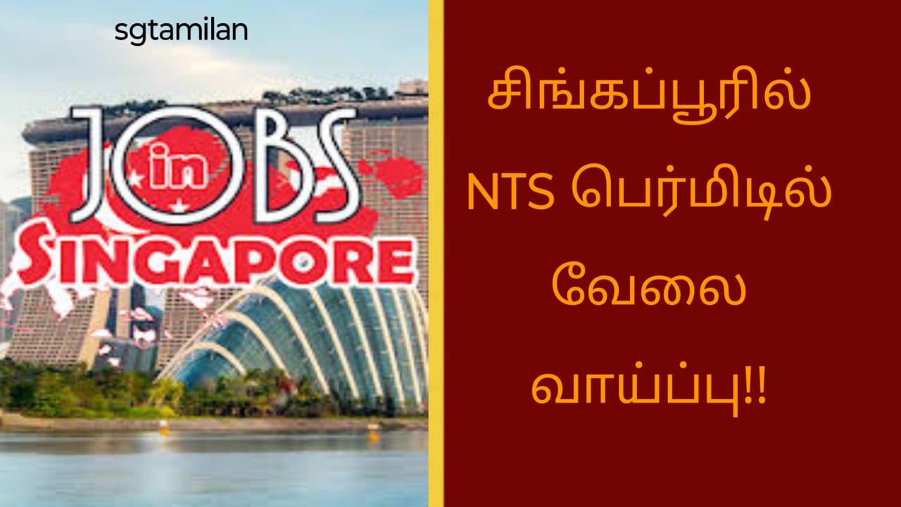 சிங்கப்பூரில் NTS பெர்மிடில் வேலை வாய்ப்பு!!