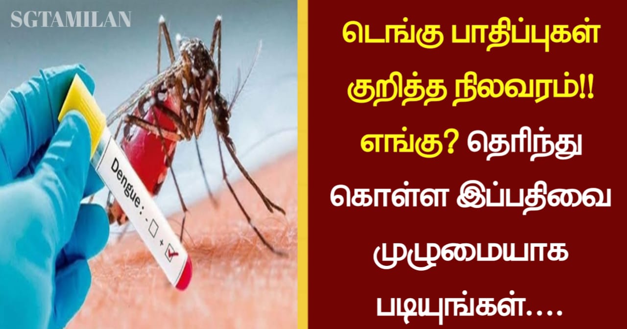 டெங்கு பாதிப்புகள் குறித்த நிலவரம்!! எங்கு? தெரிந்து கொள்ள இப்பதிவை முழுமையாக படியுங்கள்….