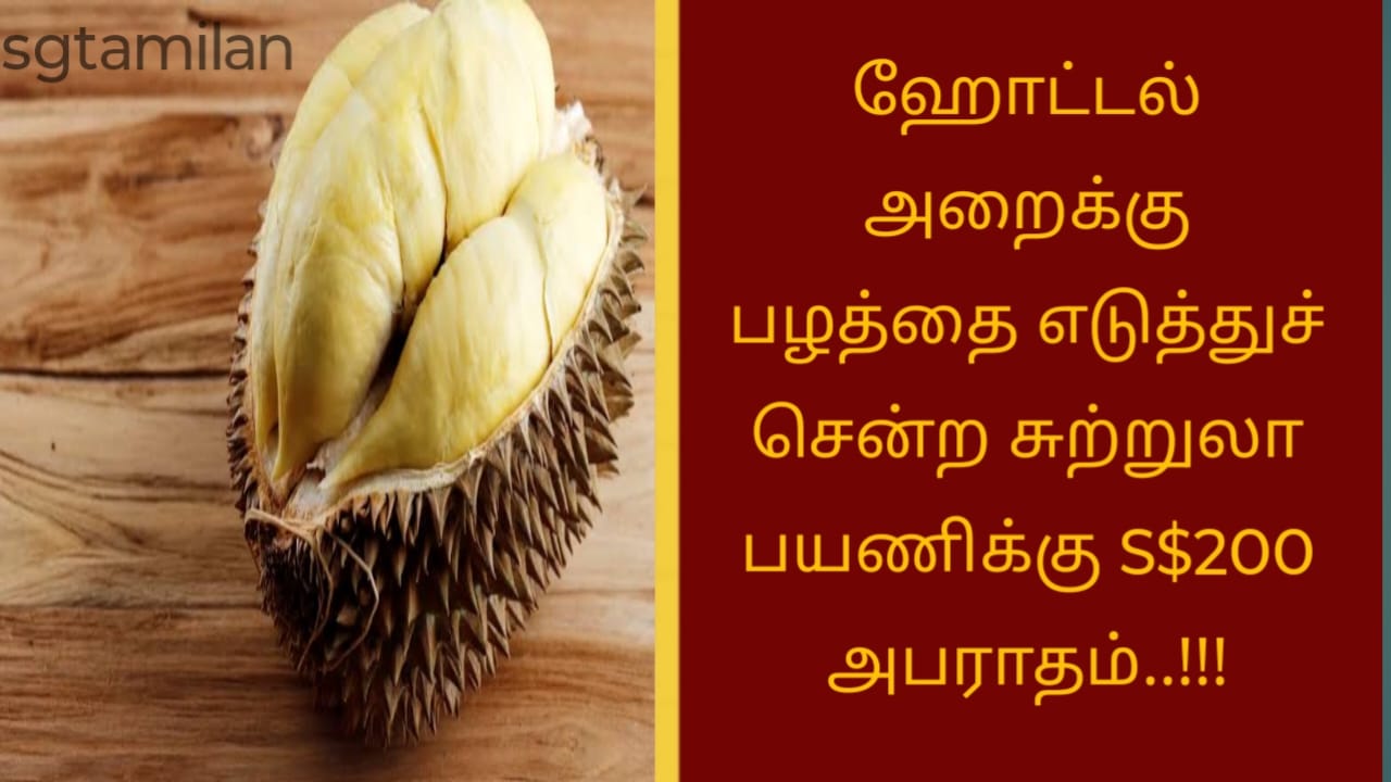 ஹோட்டல் அறைக்கு பழத்தை எடுத்துச் சென்ற சுற்றுலா பயணிக்கு S$200 அபராதம்..!!!