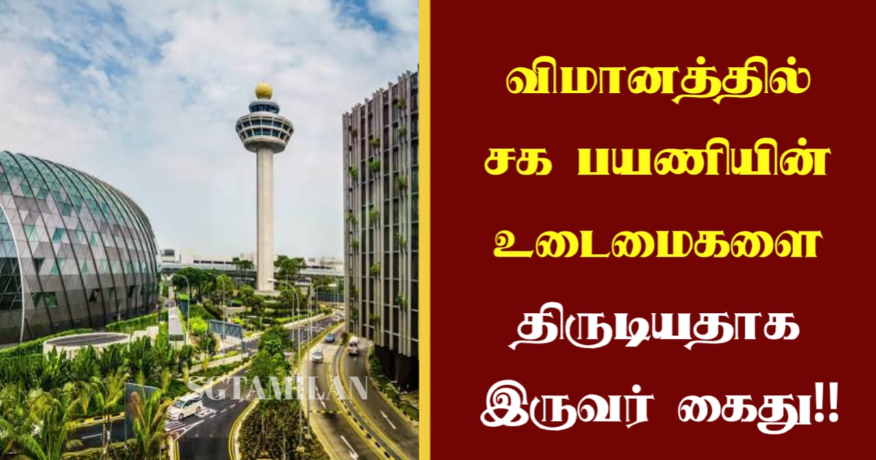 விமானத்தில் சக பயணியின் உடைமைகளை திருடியதாக இருவர் கைது!!