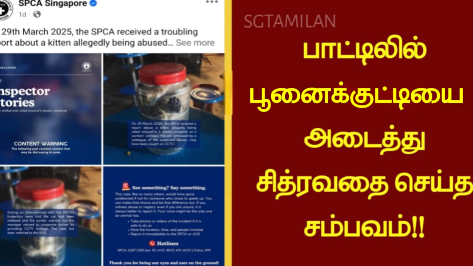 பாட்டிலில் பூனைக்குட்டியை அடைத்து சித்ரவதை செய்த சம்பவம்!!