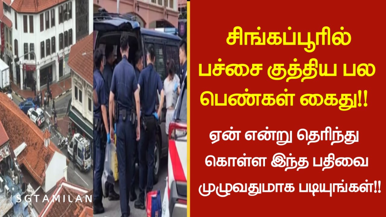 சிங்கப்பூரில் பச்சை குத்திய பல பெண்கள் கைது ஏன் என்று தெரிந்து கொள்ள இந்த பதிவை முழுவதுமாக படியுங்கள்!