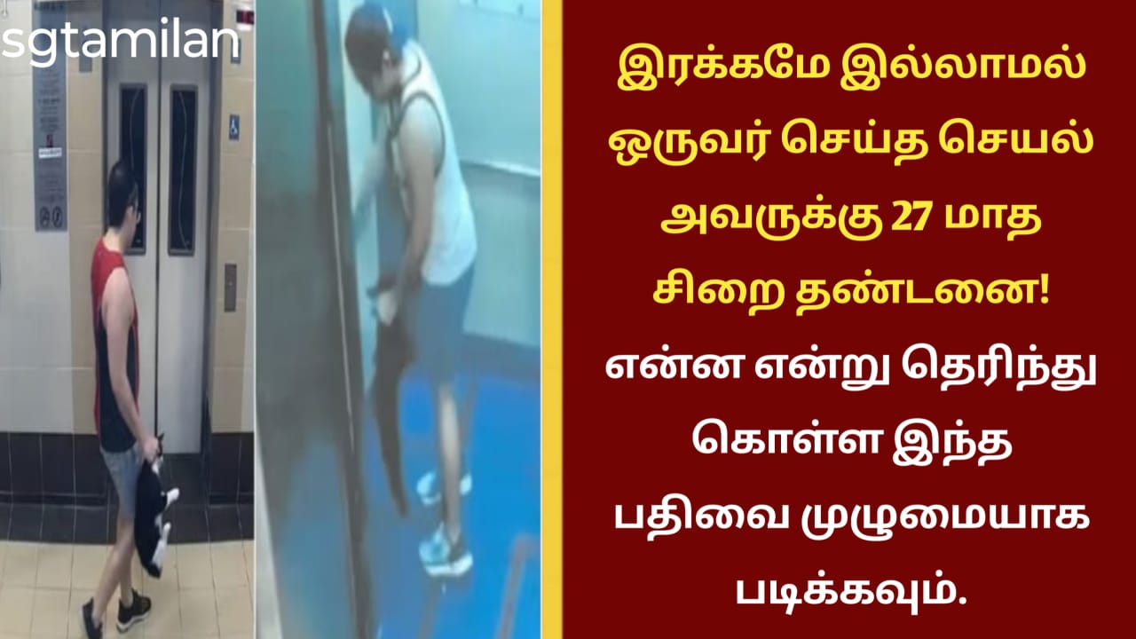 இரக்கமே இல்லாமல் ஒருவர் செய்த செயல் அவருக்கு 27 மாத சிறை தண்டனை! என்ன என்று தெரிந்து கொள்ள இந்த பதிவை முழுமையாக படிக்கவும்.
