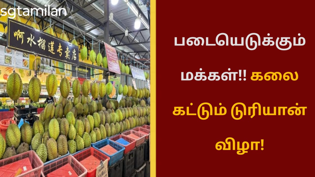 படையெடுக்கும் மக்கள்!! கலை கட்டும் டுரியான் விழா!