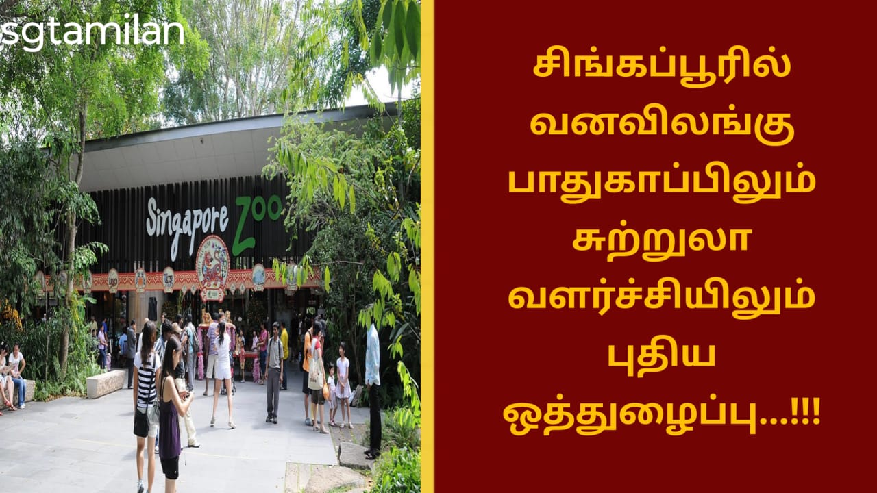 சிங்கப்பூரில் வனவிலங்கு பாதுகாப்பிலும் சுற்றுலா வளர்ச்சியிலும் புதிய ஒத்துழைப்பு…!!!