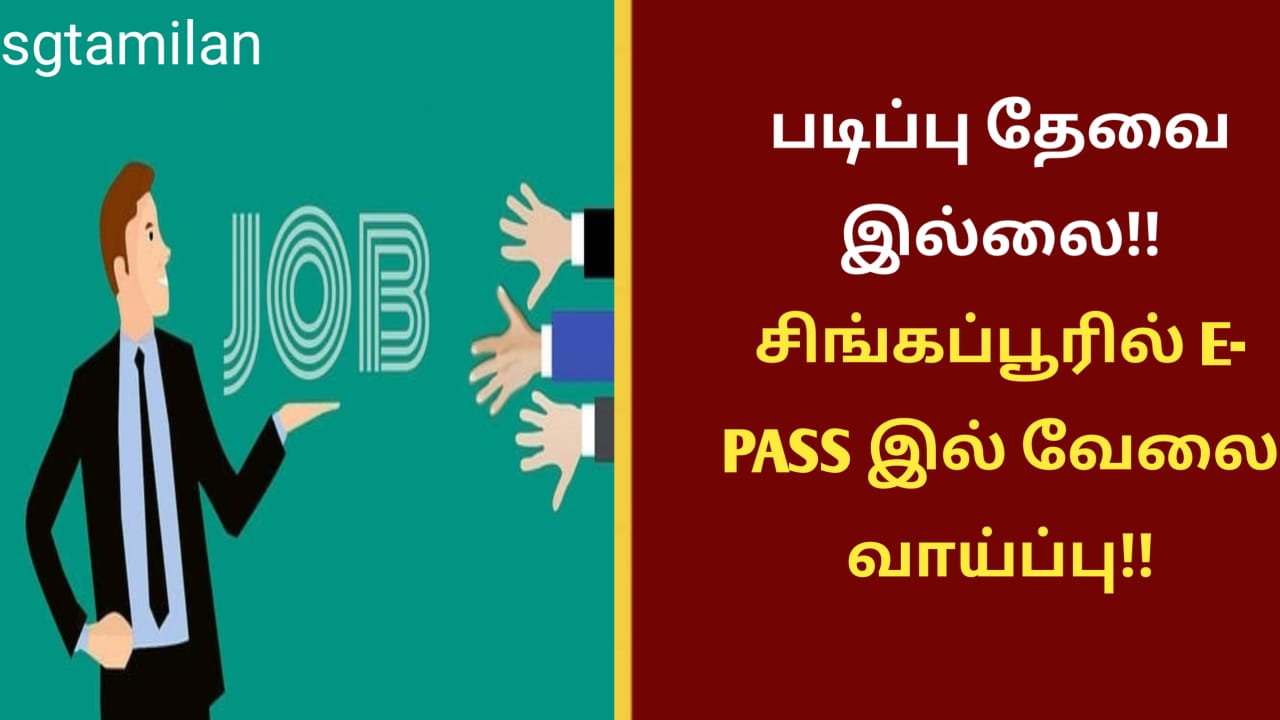 படிப்பு தேவை இல்லை!! சிங்கப்பூரில் E- PASS இல் வேலை வாய்ப்பு!!