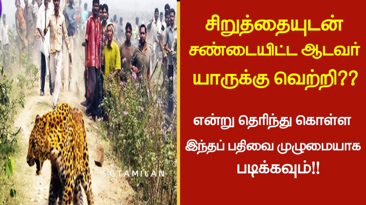 சிறுத்தையுடன் சண்டையிட்ட ஆடவர் யாருக்கு வெற்றி? என்று தெரிந்து கொள்ள இந்தப் பதிவை முழுமையாக படிக்கவும்!!