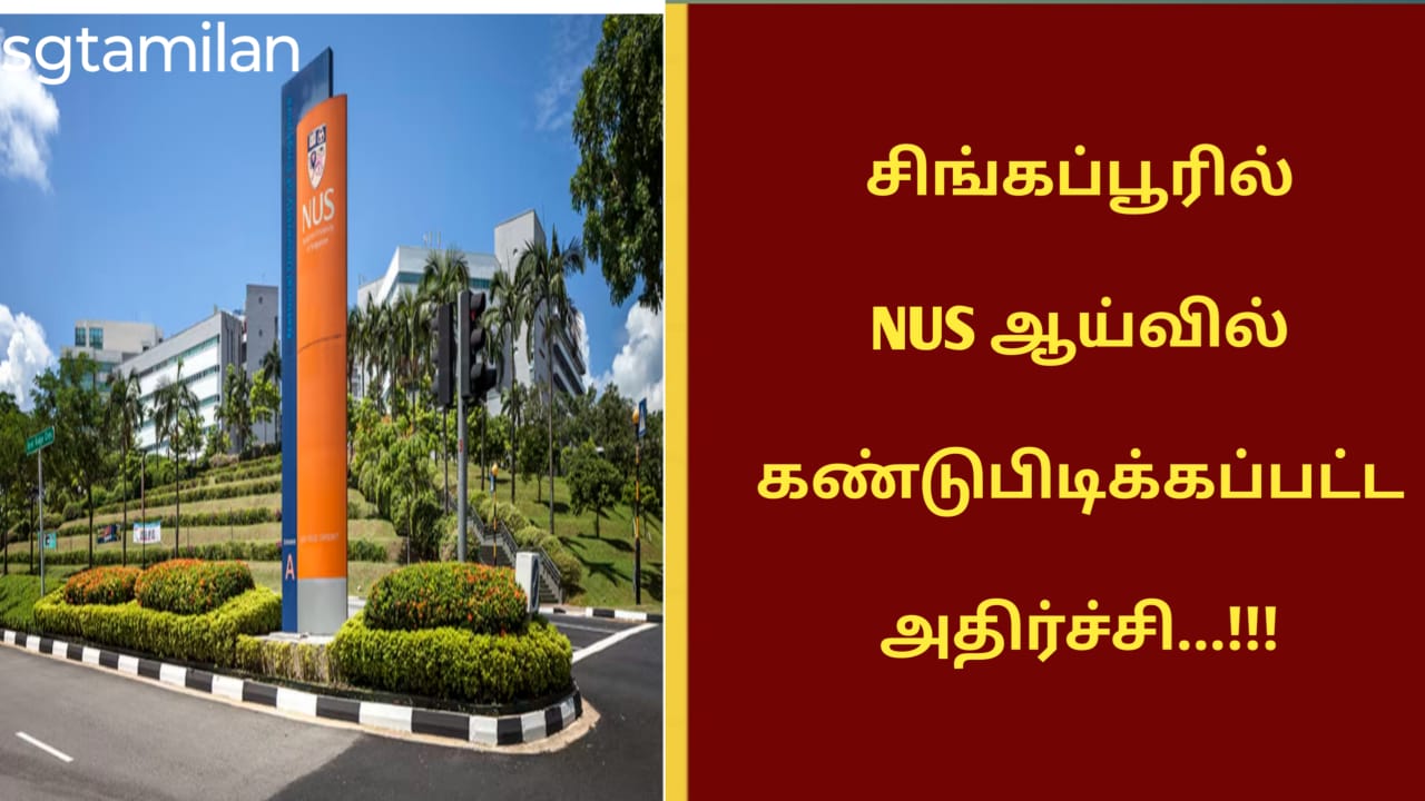 சிங்கப்பூரில் NUS ஆய்வில் கண்டுபிடிக்கப்பட்ட அதிர்ச்சி…!!!