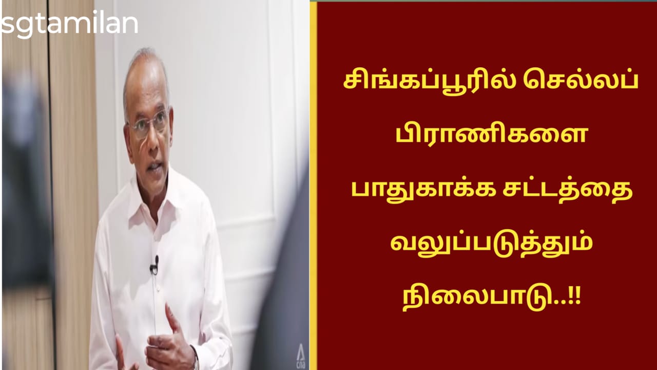 சிங்கப்பூரில் செல்லப் பிராணிகளை பாதுகாக்க சட்டத்தை வலுப்படுத்தும் நிலைபாடு..!!