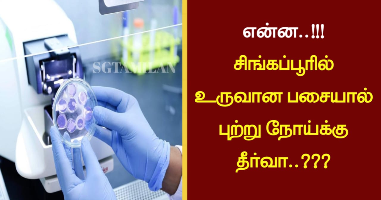 என்ன..!!!சிங்கப்பூரில் உருவான பசையால் புற்று நோய்க்கு தீர்வா..???