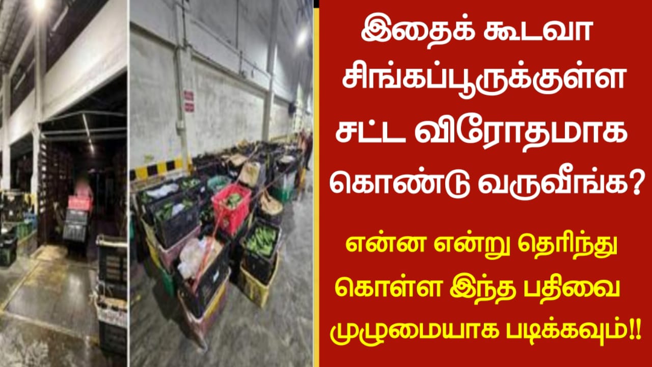இதைக் கூடவா சிங்கப்பூருக்குள்ள சட்ட விரோதமாக கொண்டு வருவீங்க?