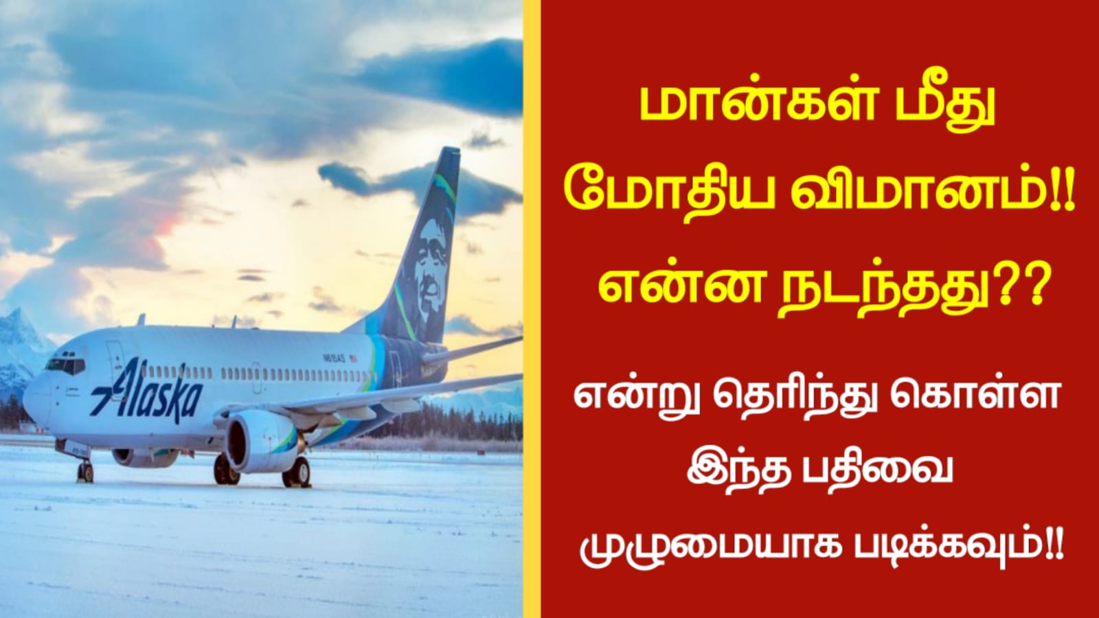 மான்கள் மீது மோதிய விமானம்!! என்ன நடந்தது என்று தெரிந்து கொள்ள இந்த பதிவை முழுமையாக படிக்கவும்!!