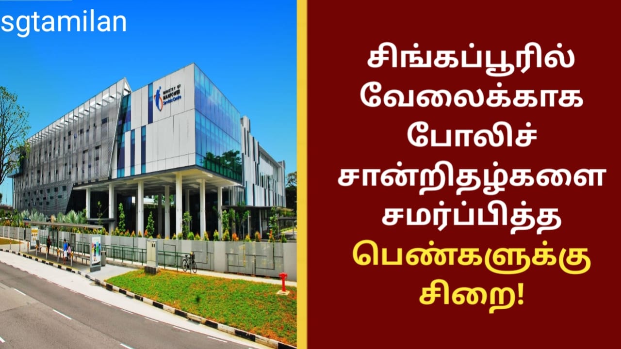 சிங்கப்பூரில் வேலைக்காக போலிச் சான்றிதழ்களை சமர்ப்பித்த பெண்களுக்கு சிறை!