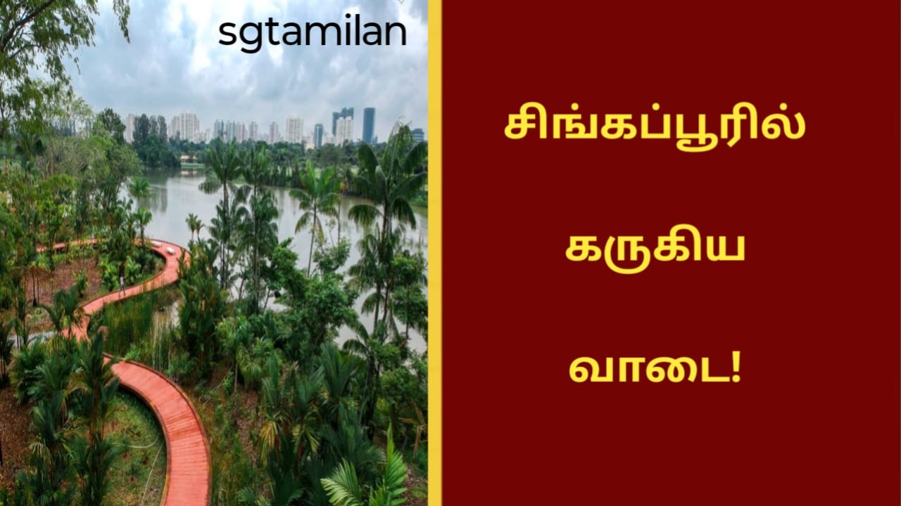 சிங்கப்பூரில் கருகிய வாடை!