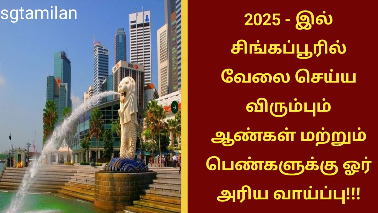 2025 – இல் சிங்கப்பூரில் வேலை செய்ய விரும்பும் ஆண்கள் மற்றும் பெண்களுக்கு ஓர் அரிய வாய்ப்பு!!!