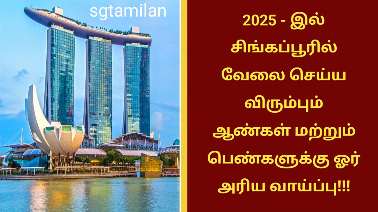 2025 – இல் சிங்கப்பூரில் வேலை செய்ய விரும்பும் ஆண்கள் மற்றும் பெண்களுக்கு ஓர் அரிய வாய்ப்பு!!!