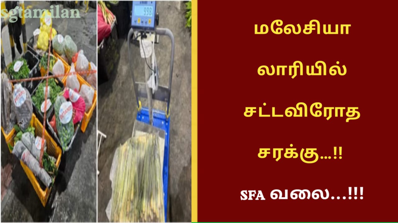 மலேசியா லாரியில் சட்டவிரோத சரக்கு…!!
