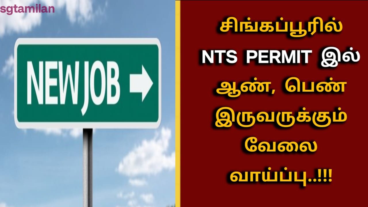 சிங்கப்பூரில் NTS PERMIT இல் ஆண், பெண் இருவருக்கும் வேலை வாய்ப்பு..!!!