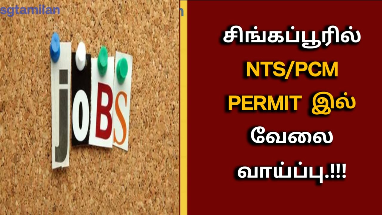 சிங்கப்பூரில் NTS/PCM PERMIT இல் வேலை வாய்ப்பு.!!!