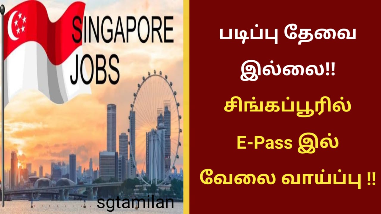 படிப்பு தேவை இல்லை!! சிங்கப்பூரில் E-Pass இல் வேலை வாய்ப்பு !!