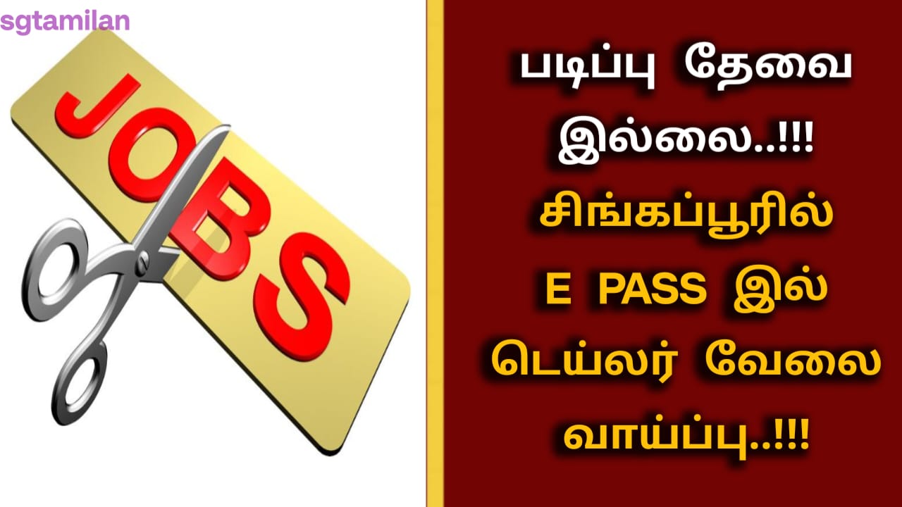 படிப்பு தேவையில்லை..!!!சிங்கப்பூரில் E PASS இல் டெய்லர் வேலை வாய்ப்பு..!!!