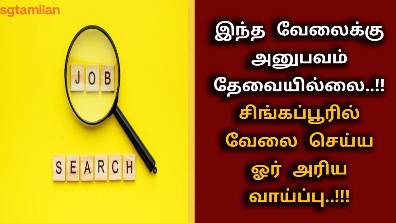 இந்த வேலைக்கு அனுபவம் தேவையில்லை..!! சிங்கப்பூரில் வேலை செய்ய ஓர் அரிய வாய்ப்பு..!!!
