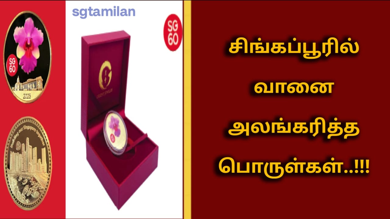 சிங்கப்பூரில் வானை அலங்கரித்த பொருள்கள்..!!!