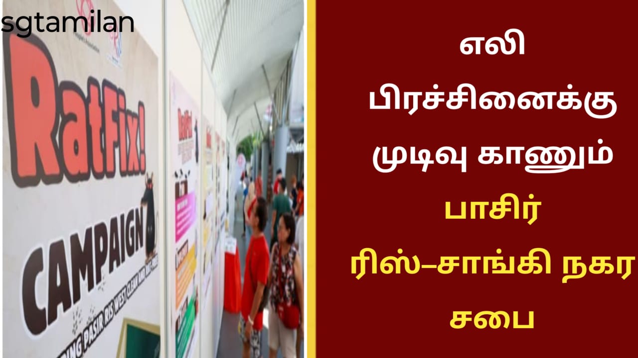 எலி பிரச்சினைக்கு முடிவு காணும் பாசிர் ரிஸ்–சாங்கி நகர சபை