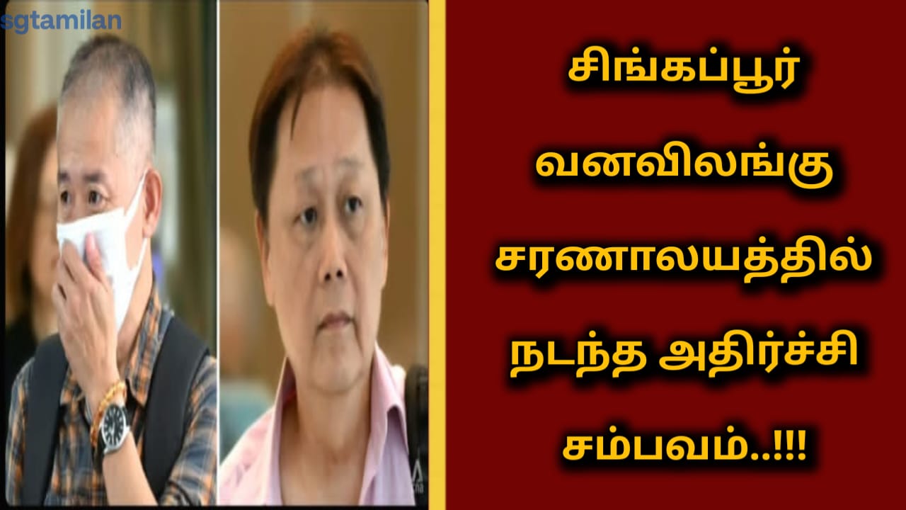 சிங்கப்பூர் வனவிலங்கு சரணாலயத்தில் நடந்த அதிர்ச்சி சம்பவம்..!!!