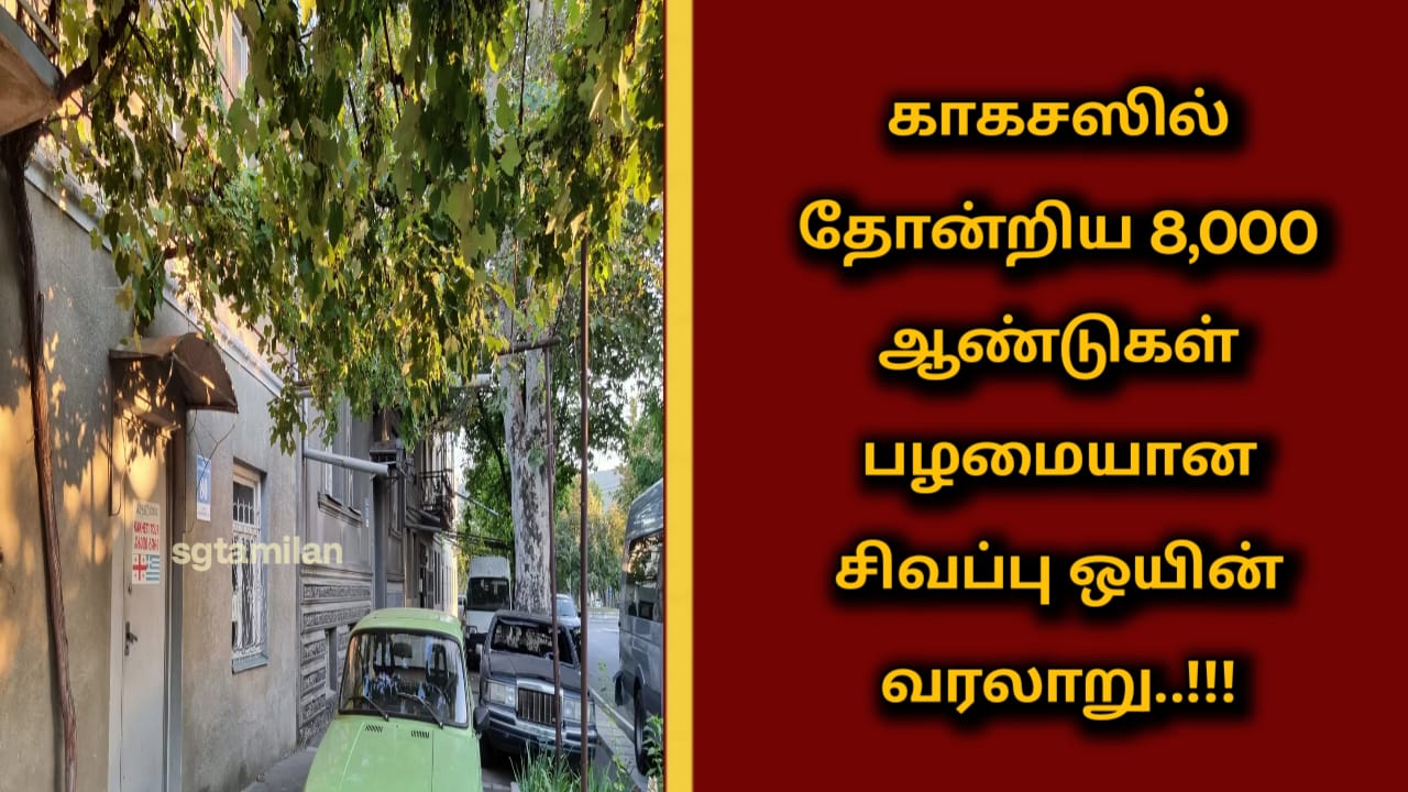 காகசஸில் தோன்றிய 8,000 ஆண்டுகள் பழமையான சிவப்பு ஒயின் வரலாறு..!!!